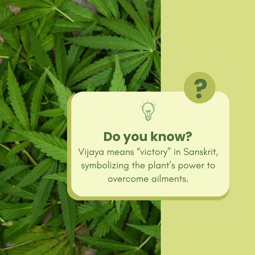 Soothra™ Pain Releaf Oil